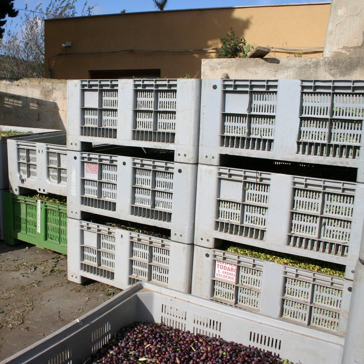 Foto Olio d'oliva Cori Meo Dattilo-Paceco