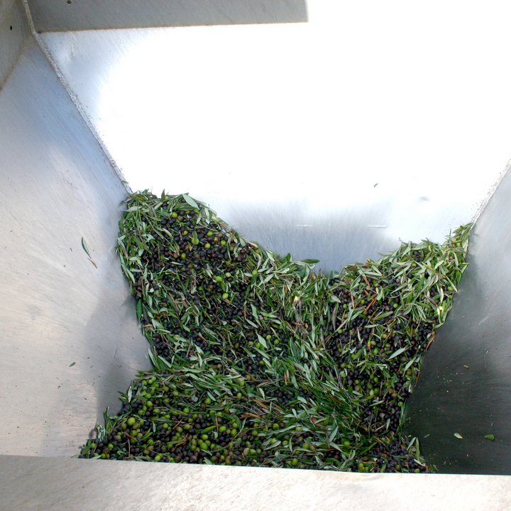 Foto Olio d'oliva Cori Meo Dattilo-Paceco