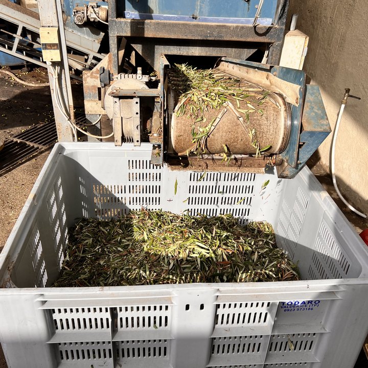Foto Olio d'oliva Cori Meo Dattilo-Paceco