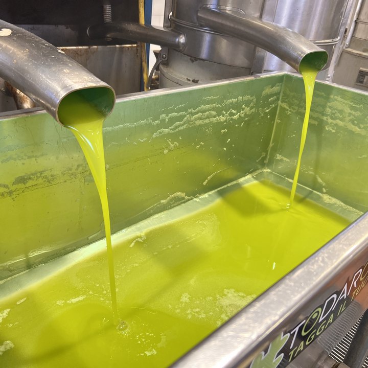 Foto Olio d'oliva Cori Meo Dattilo-Paceco