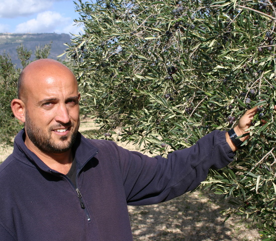 Olio Evo Siciliano Cori Meo Massimo Poma