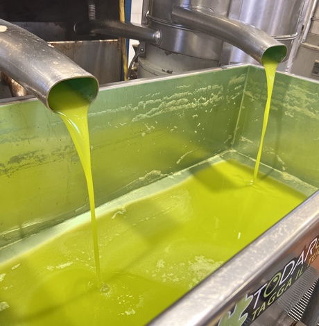 Olio Evo Cori Meo