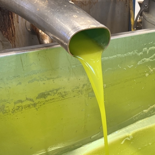 Olio Extravergine D'Oliva Cori Meo